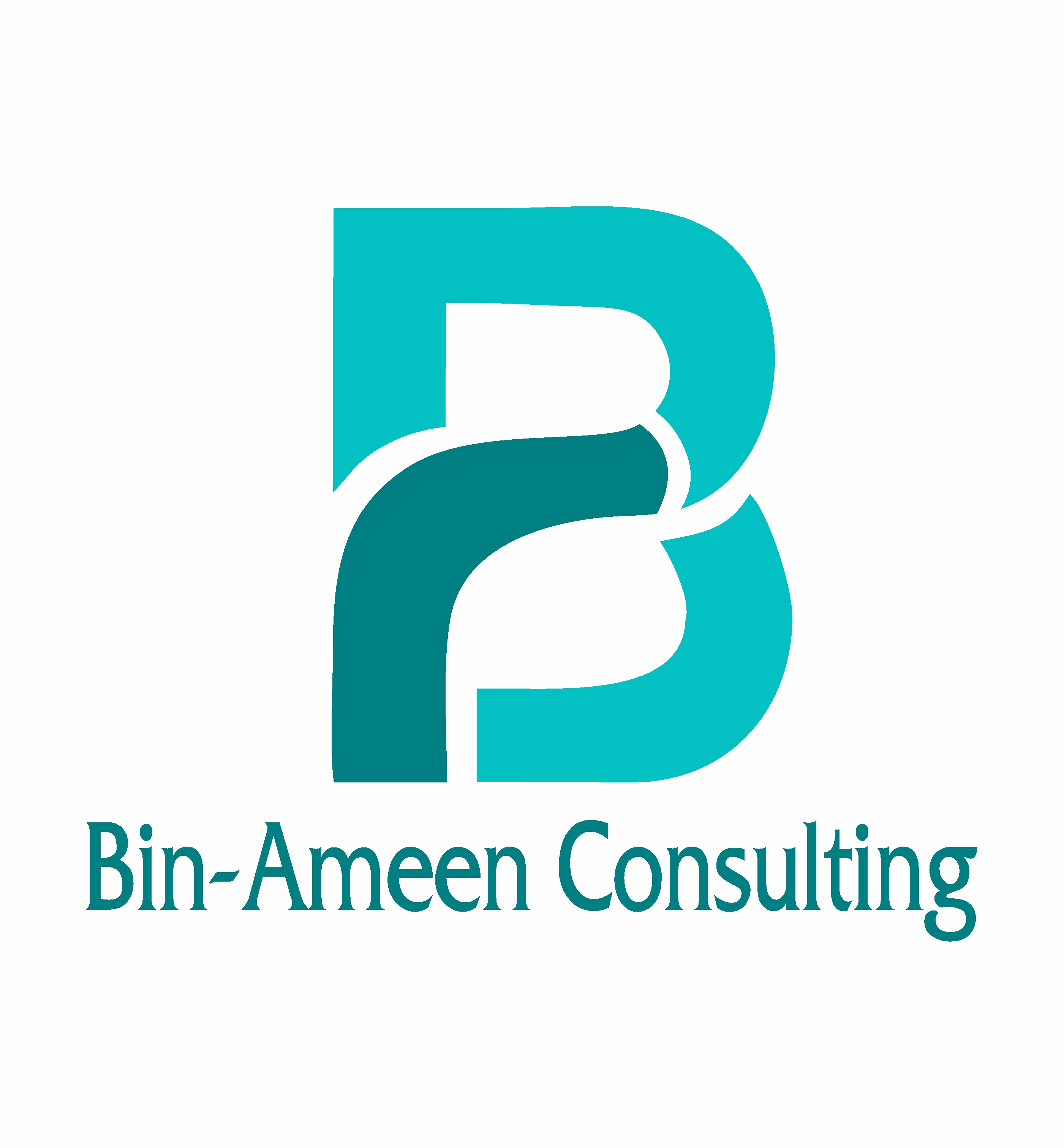 BIN-AMEEN CONSULTING